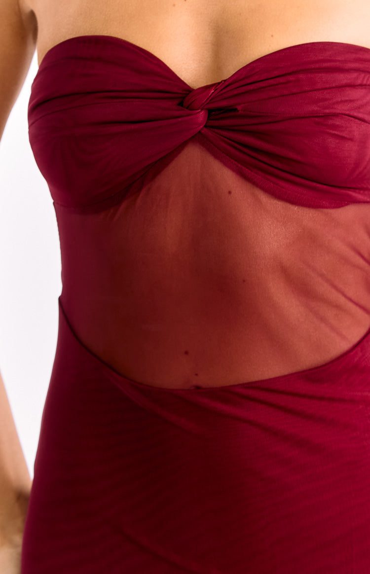 Ryker Wine Strapless Mesh Maxi Dress